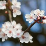 8592102407_45ebf04a37_o