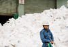 Dernier hommage photo aux travailleurs de Tsukiji, le défunt marché aux poissons de Tokyo