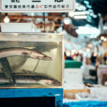 nico-toyko-itsnicethat-new