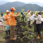 projet-participatif-citoyen