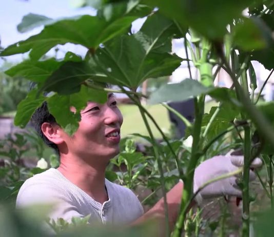 Nous avons visité une ferme biologique japonaise