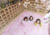 Une piscine de pétales de cerisiers vient d’ouvrir à Tokyo !