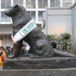 Hachiko