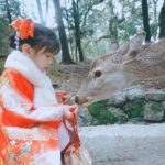 Nara : quand des cerfs sauvent l’ancienne capitale du Japon