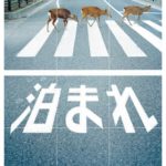 ezgif-3-f8529a477cce