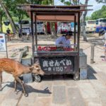 29325192664_4bedc8c227_k