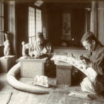 60391402_300906160827276_8894297015639343104_n