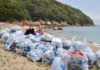 Japon : face aux plages polluées, des étudiants font le grand nettoyage