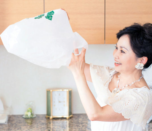 Japon et plastique : une histoire d’amour mortelle qui n’en finit pas
