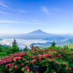 37693731_2088839397856203_3962370629235113984_n