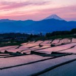 59361820_132570644586162_4485233058602454224_n