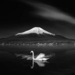 60169671_446110205961303_6166007985211294796_n