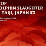 17051528539_3d4b72ccd3_o