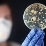 Des bactéries ultra-résistantes tuent 8 000 Japonais par an