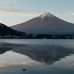 49316053542_c40585b05a_o