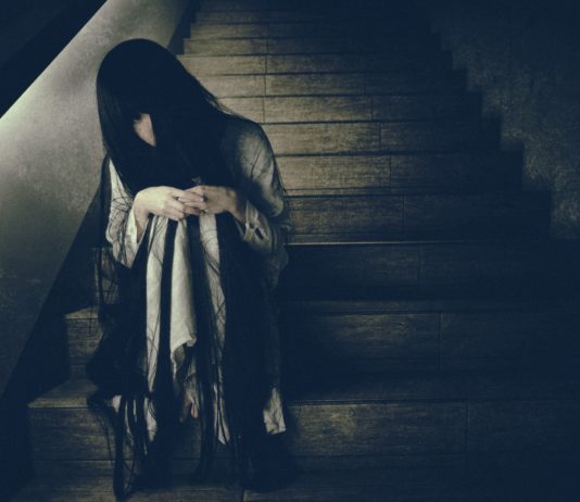 Loger au Japon pour pas cher ? Oui, mais avec des fantômes !