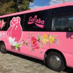 43733353_348298635942286_6099474122233821755_n