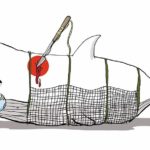 80114768_1003136183396433_7837294995350491689_n