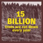 89751133_520354215333345_7777715582201582692_n