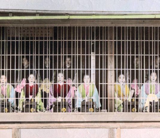 Mourir à 20 ans : la vie dévoilée des prostituées japonaises d’Edo