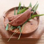 97959376_2618362415148337_7751818910962071453_n