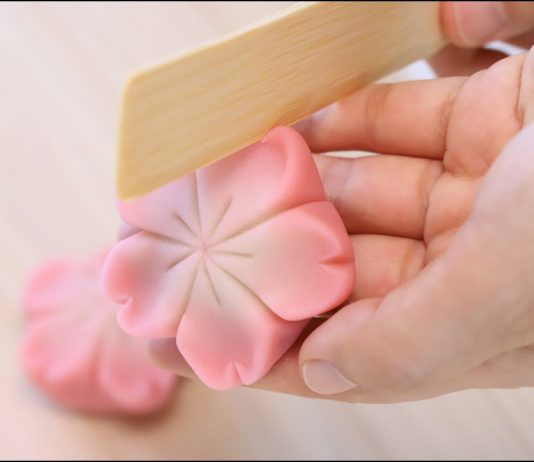Wagashi : cet Art japonais comestible à travers les saisons