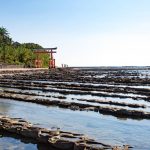 devils_washboard_z8naxf