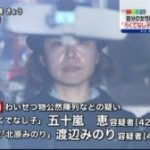 Vulve-igarashi1-300×168