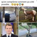 209569767_343424334100474_3046489228866329361_n