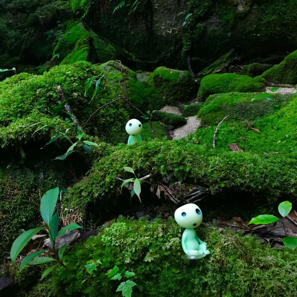 Shiratani Unsuikyo la forêt qui a inspiré Princesse Mononoké