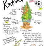 Joranne-Le-kadomatsu