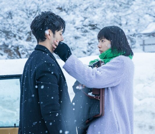 The Housewife : chronique d’une Japonaise qui ne veut plus être invisible