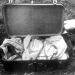 Capture d’écran 2022-12-09 à 00.25.27