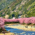 Snapinsta.app_1080_332347226_707589311042164_1782915755651002218_n