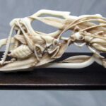 10-sauterelles-sur-aubergin