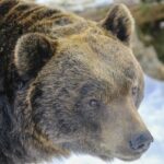 40849009873_afb092f179_k