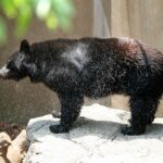 5116433850_8828bb5bd6_o