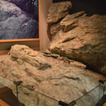 5-沖ノ島祭祀遺跡17号_模型