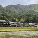 348387787_916713946081244_913782576953193206_n