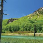 Capture d’écran 2023-06-03 à 13.01.48