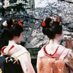 142586856_2df10c6c5a_o