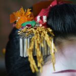 52972582307_0c42075e2b_o