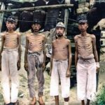 img_81a137433d4ba1d651a9ab1c90cb78993170335_003