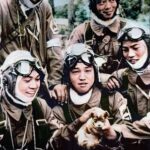 img_ceae28cac92ad5119e55e542068226056489437_003