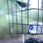 yu-jhethVfTglw-unsplash