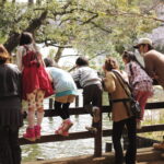 5650142708_3ca11f96f5_k