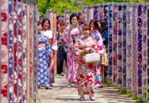 Les plus belles techniques de teinture et tissage de kimono