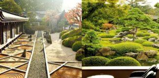 5 jardins secrets du Japon, entre discipline et poésie