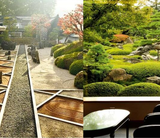 5 jardins secrets du Japon, entre discipline et poésie