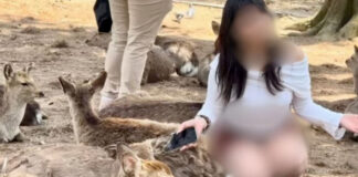 Voyeurisme à Nara : des femmes filmées à leur insu et exposées sur les réseaux sociaux